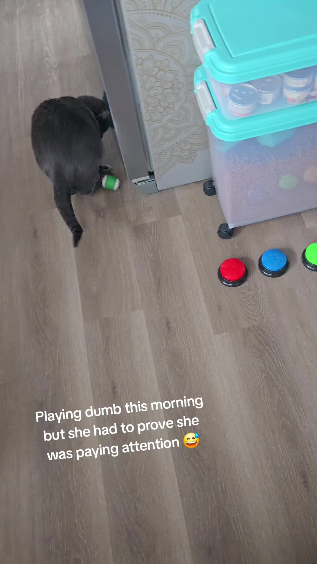 @Lola.47