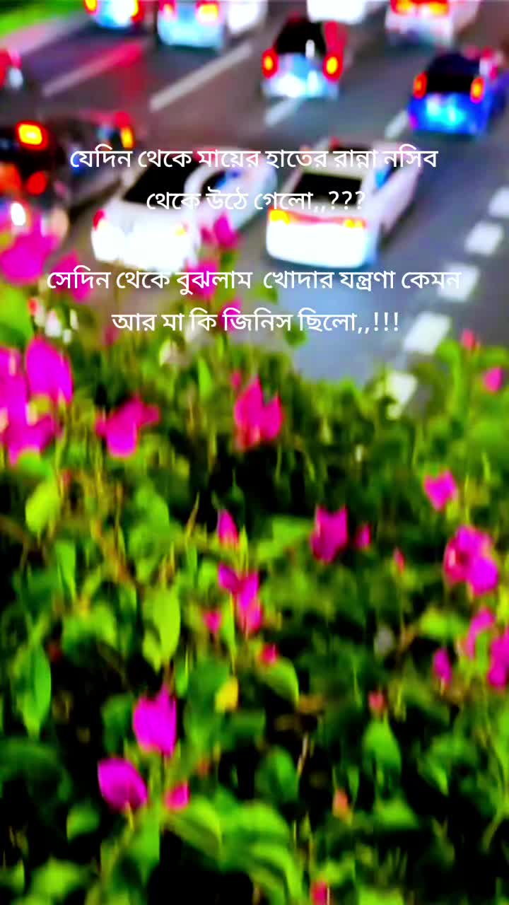 @🥀🇧🇩সৌদি আরব প্রবাসী🇸🇦🥀
