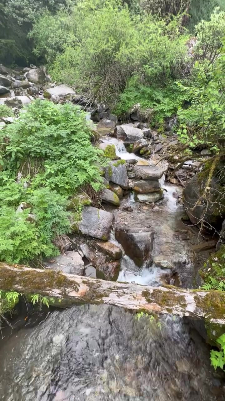 @थिँयाल 🌿