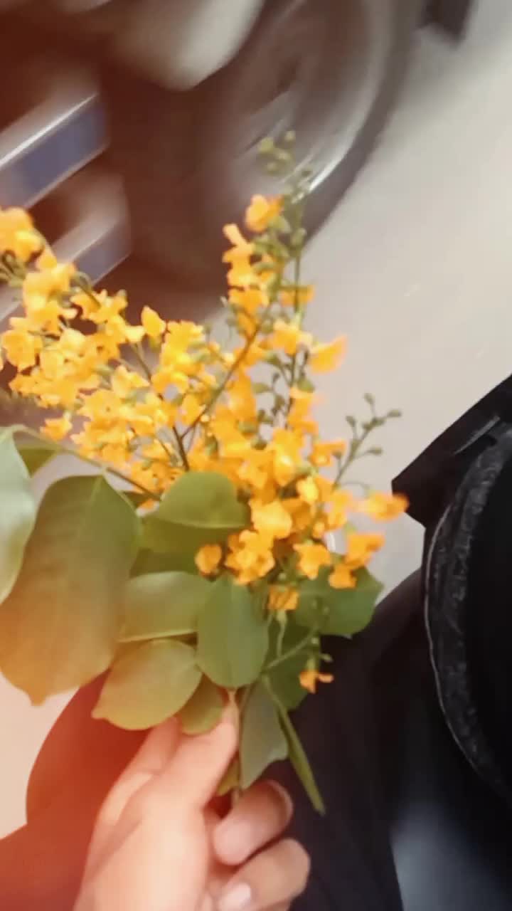 @⫷𝐂ᴀɴ 𝐈 𝐁ᴇ 𝐇ᴇʀ⫸