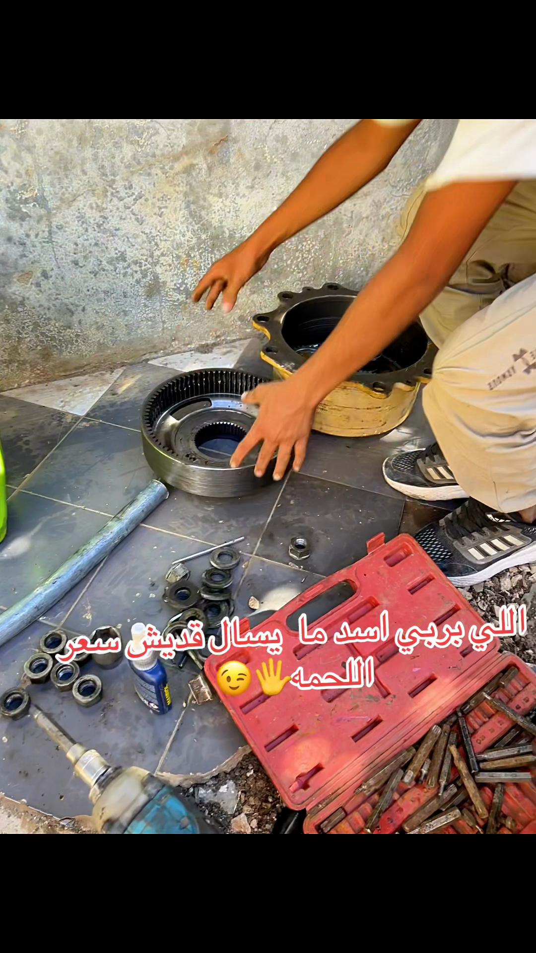 @Alaa_M_Qalalweh
