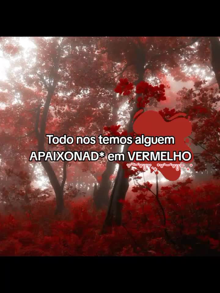 @💫Estrela💫