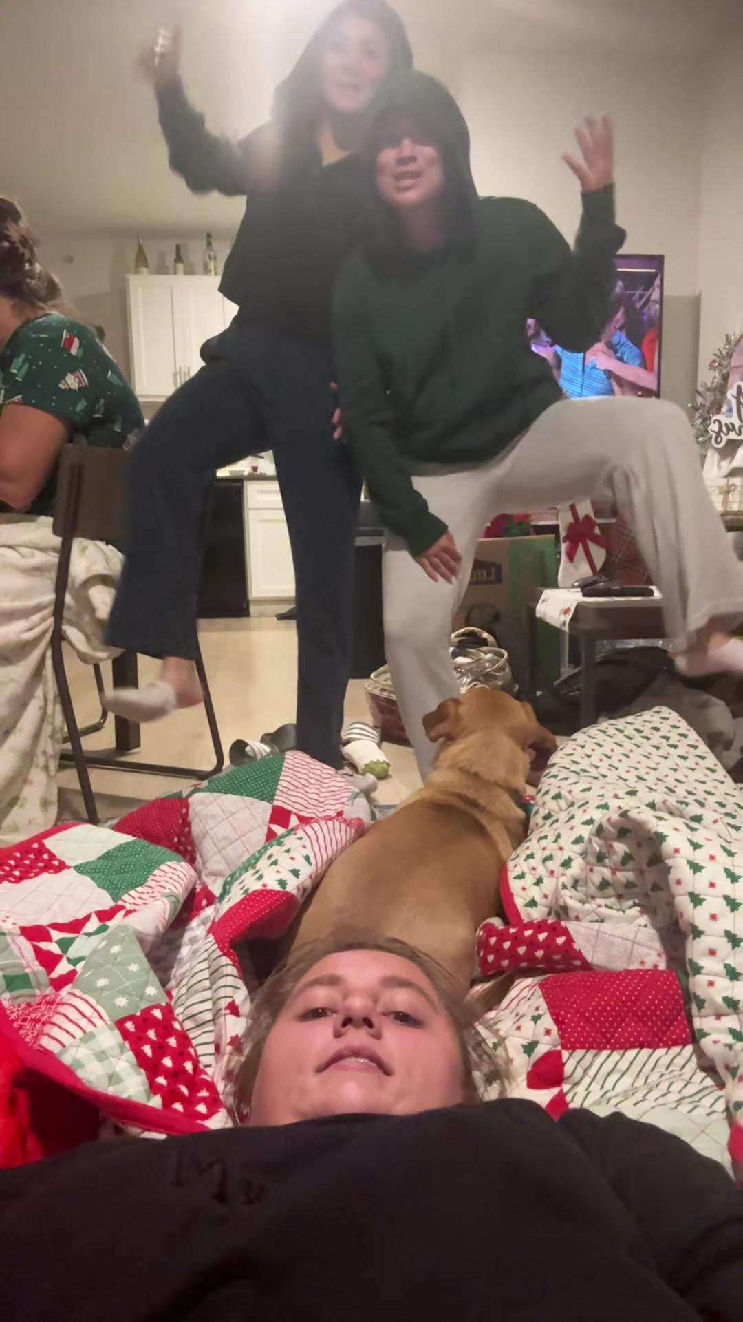 @lingachuppiesoft