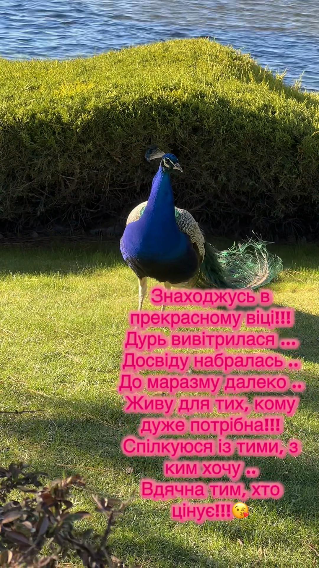 @😈ВіКуСя😈