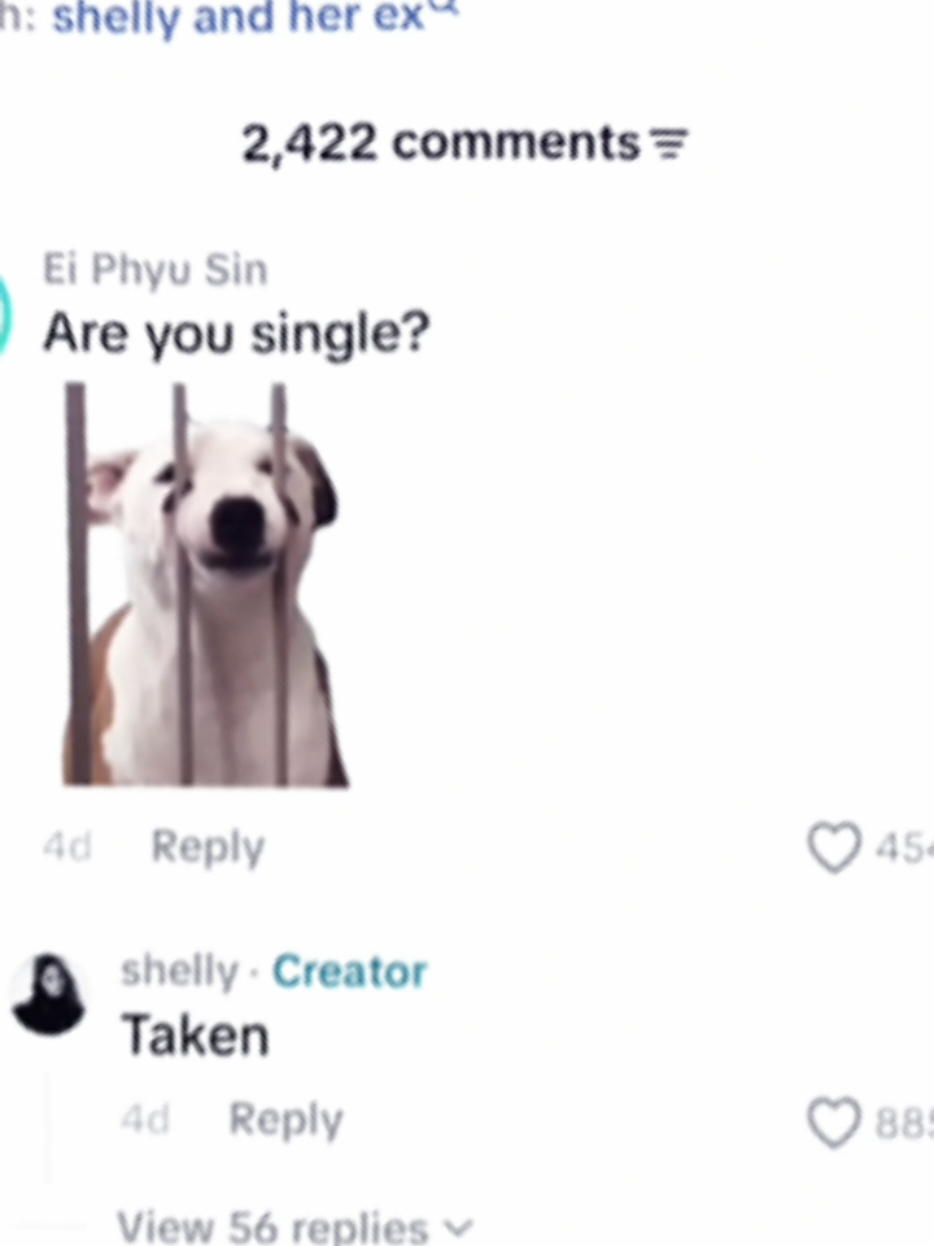 @๐น๐๐๐๐ ๐ท๏ธ