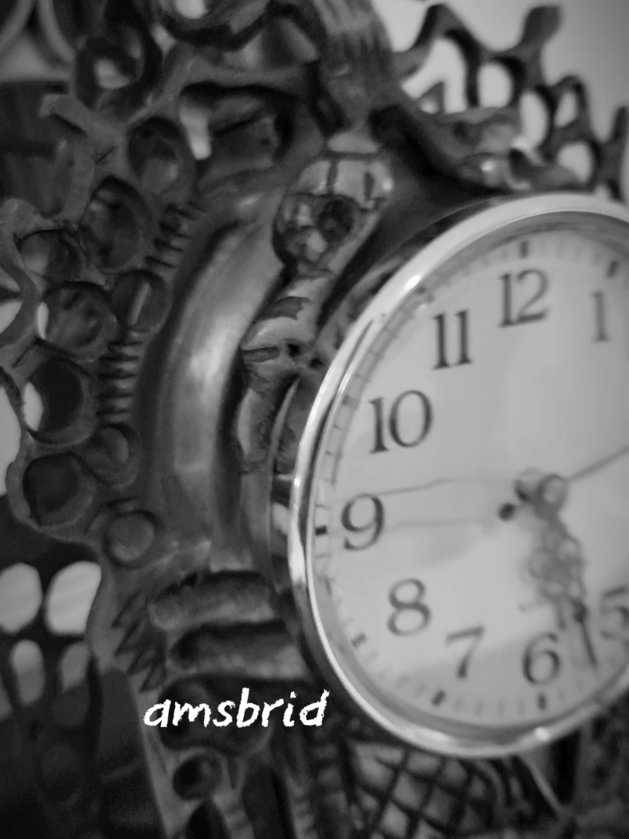 @amsbrid ⴰⵏⴻⵀⵀⴰⵕ