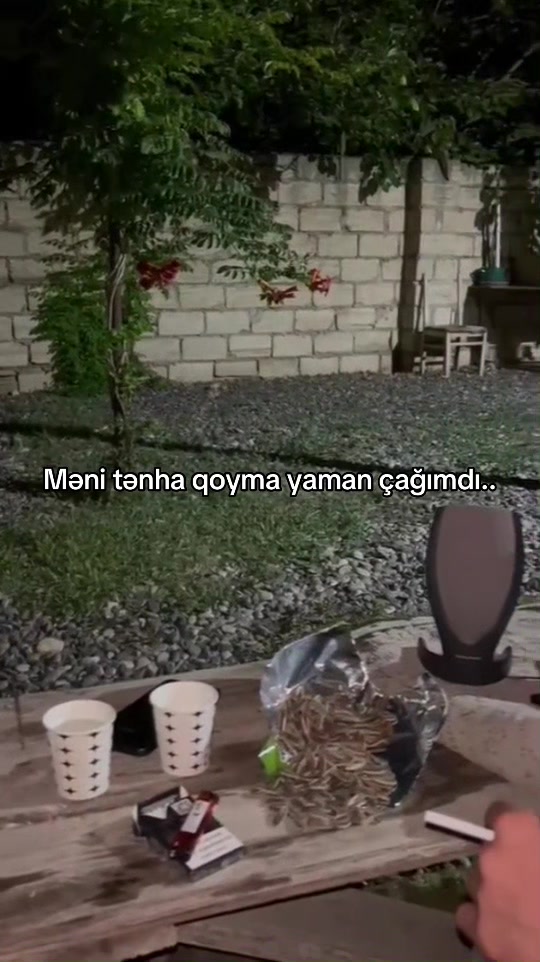 @İbrahimli⚡️
