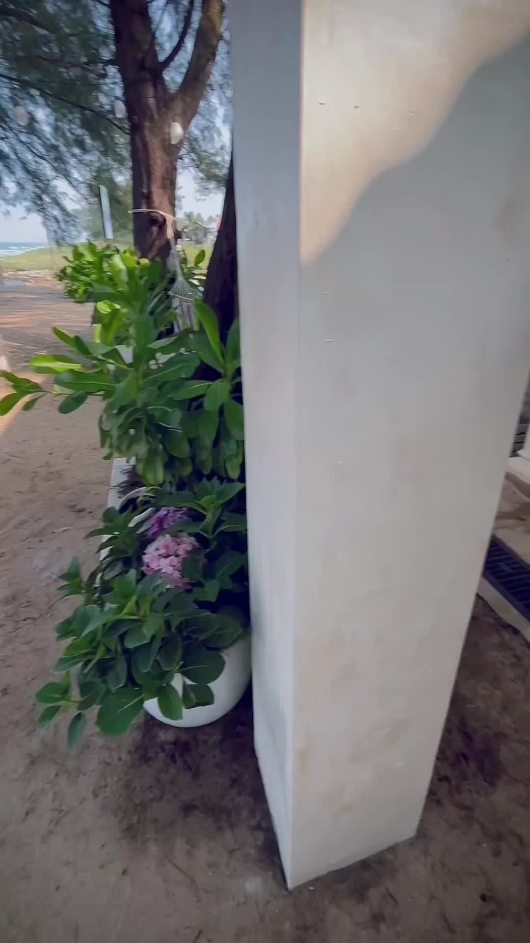 @𝒱𝓎𝒶𝒶𝒶🌷~