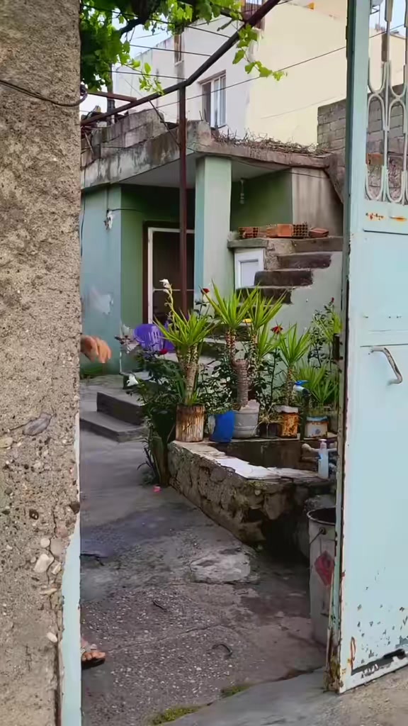 @deniz.0101