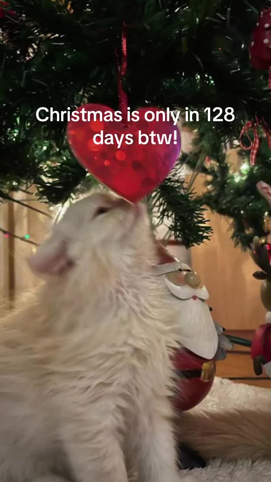 @christmas vibes!
