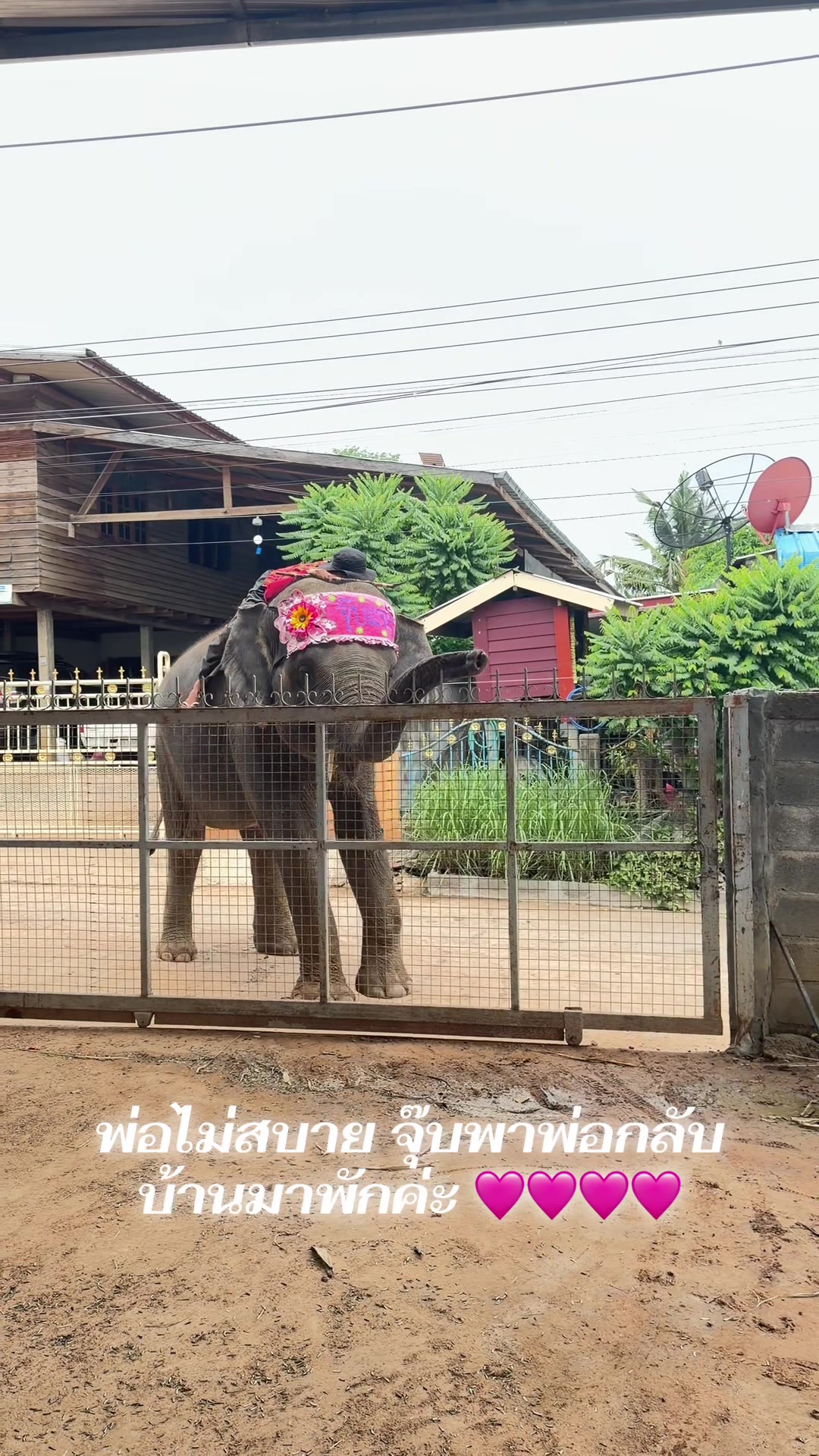 @Jubjang Family จุ๊บแจงแฟมิลี่