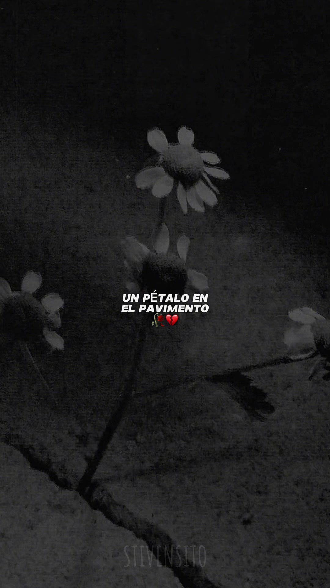 @stiven | lyrics
