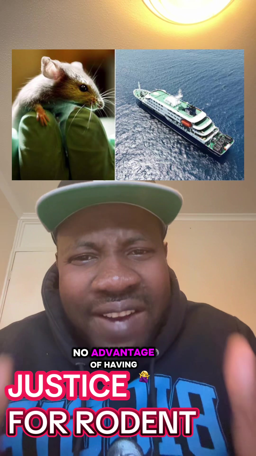 @drotedola