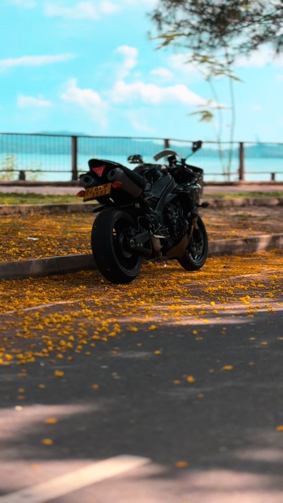 @Jc Jathu.🏍️🐝❣️
