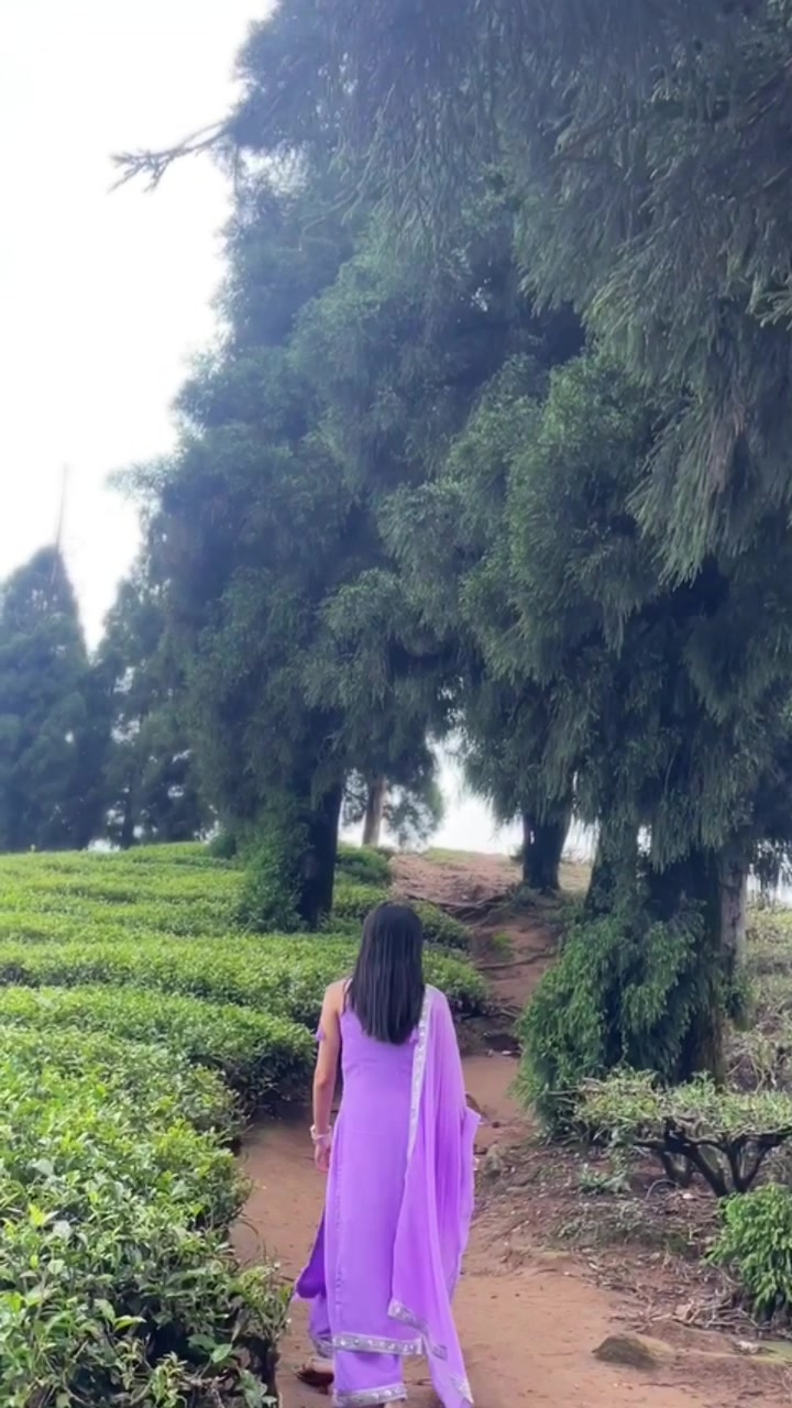 @Roshni Bashyal