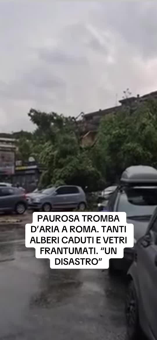 @flashtv_notizie