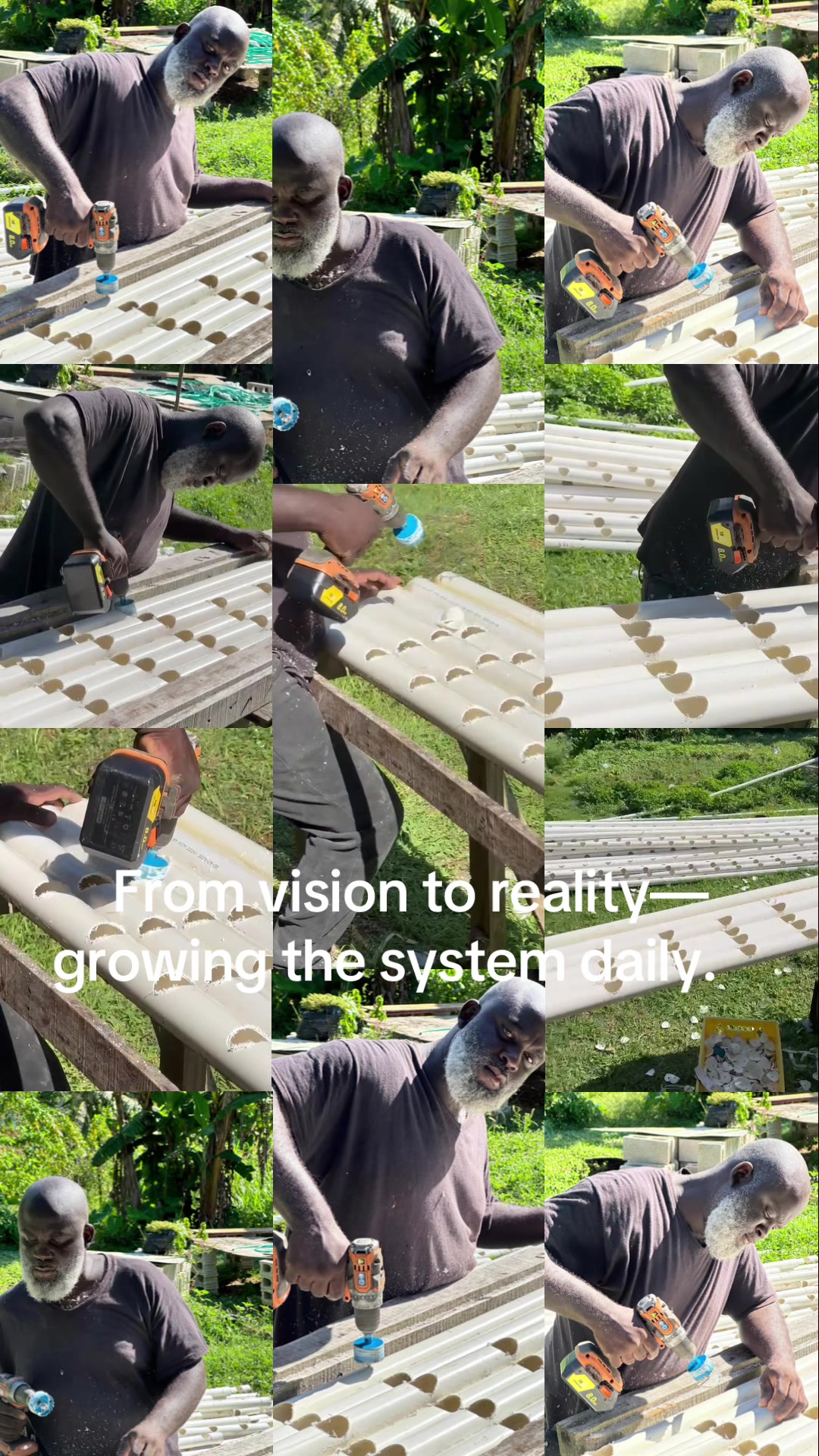 @Velaro Farm