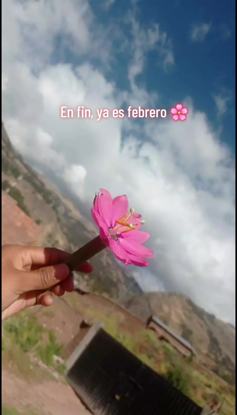 @🌷