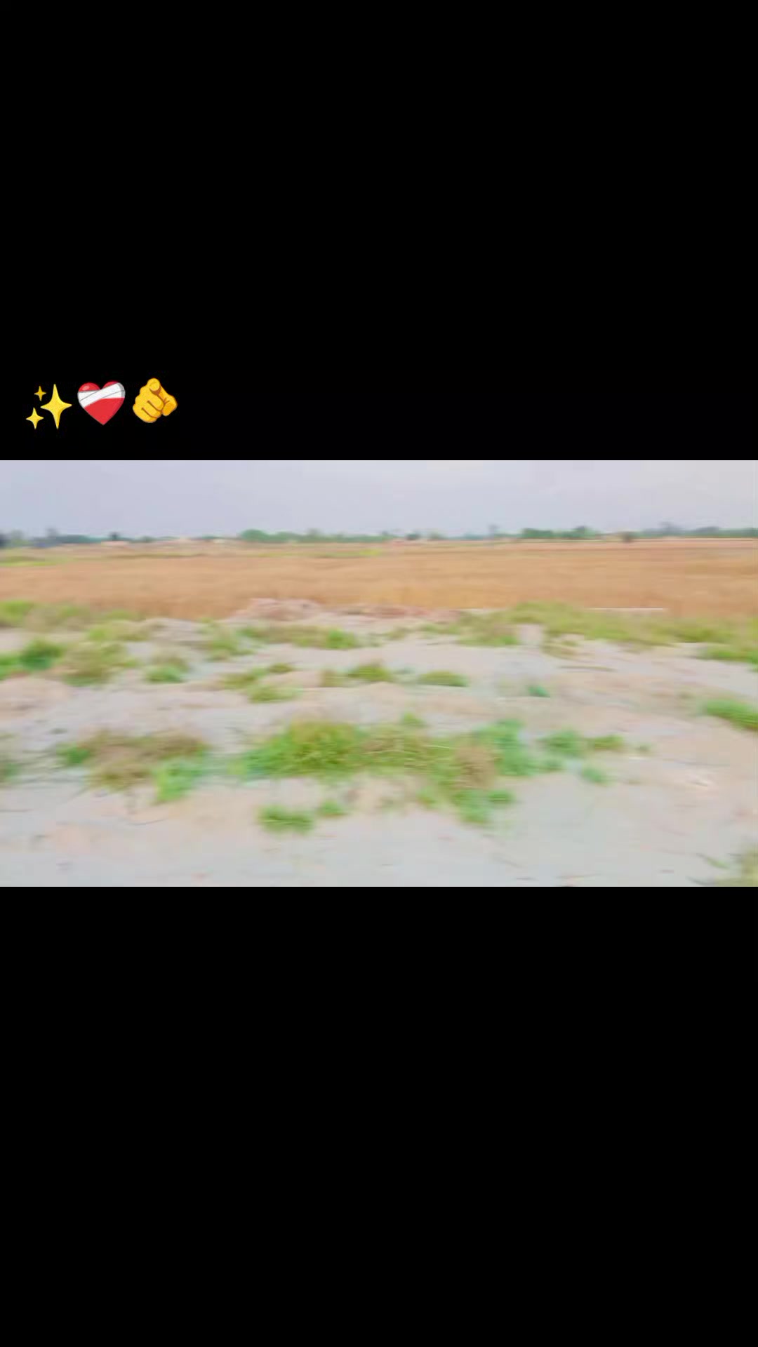 @💔 ╾━╤デ╦︻✌🏻Hameed😘