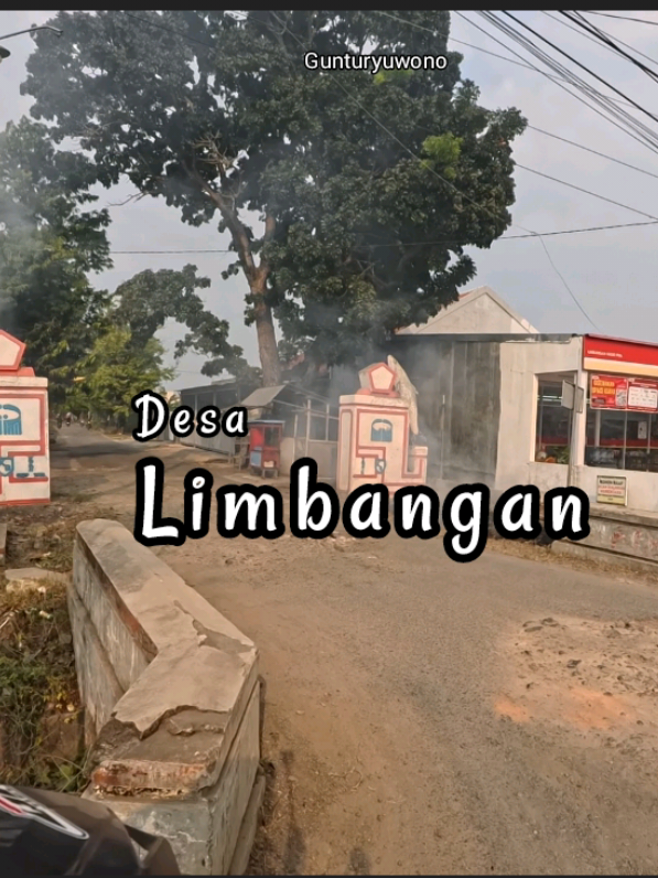 @Guntur Yuwono