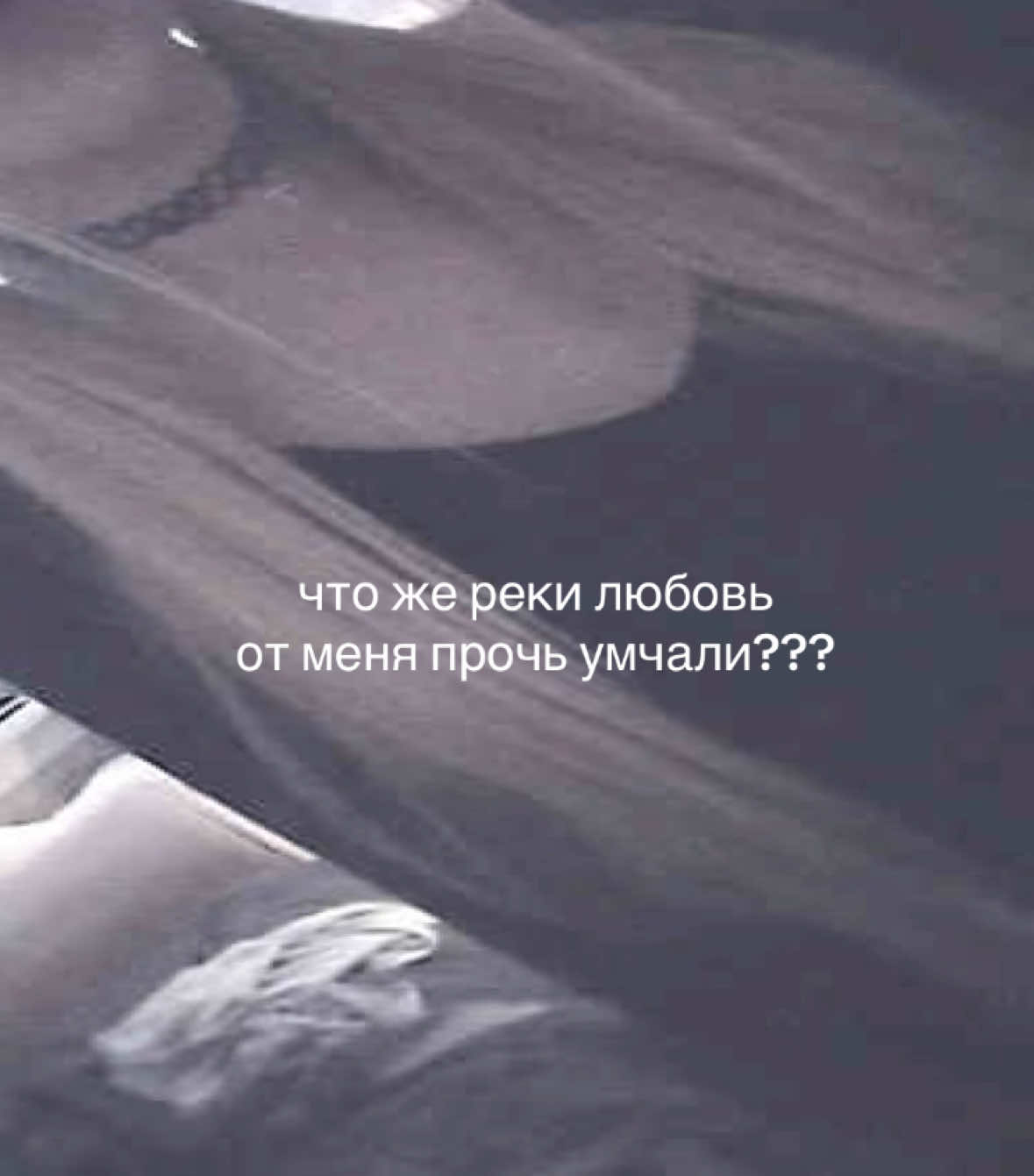 @шмак🦇