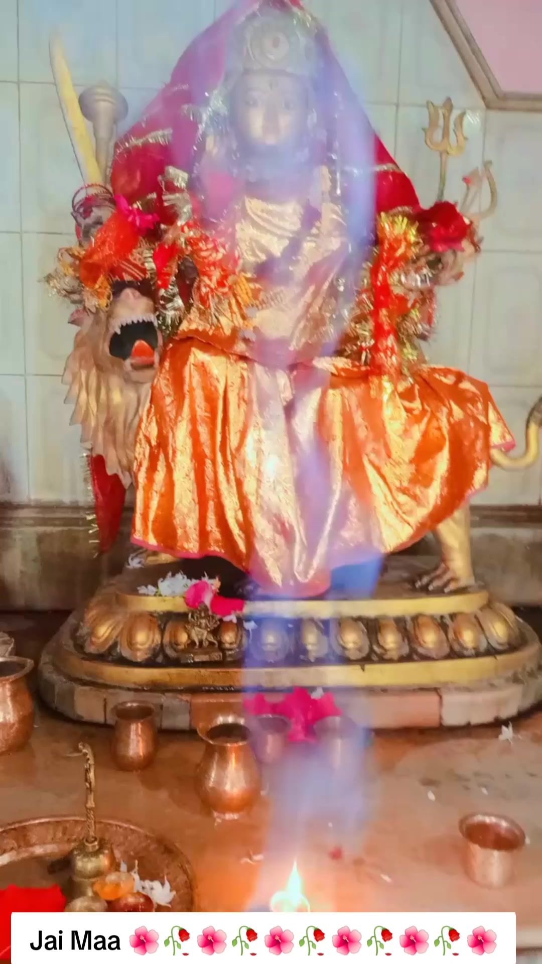 @SharbanSunitaRoyYadav861🤞❣