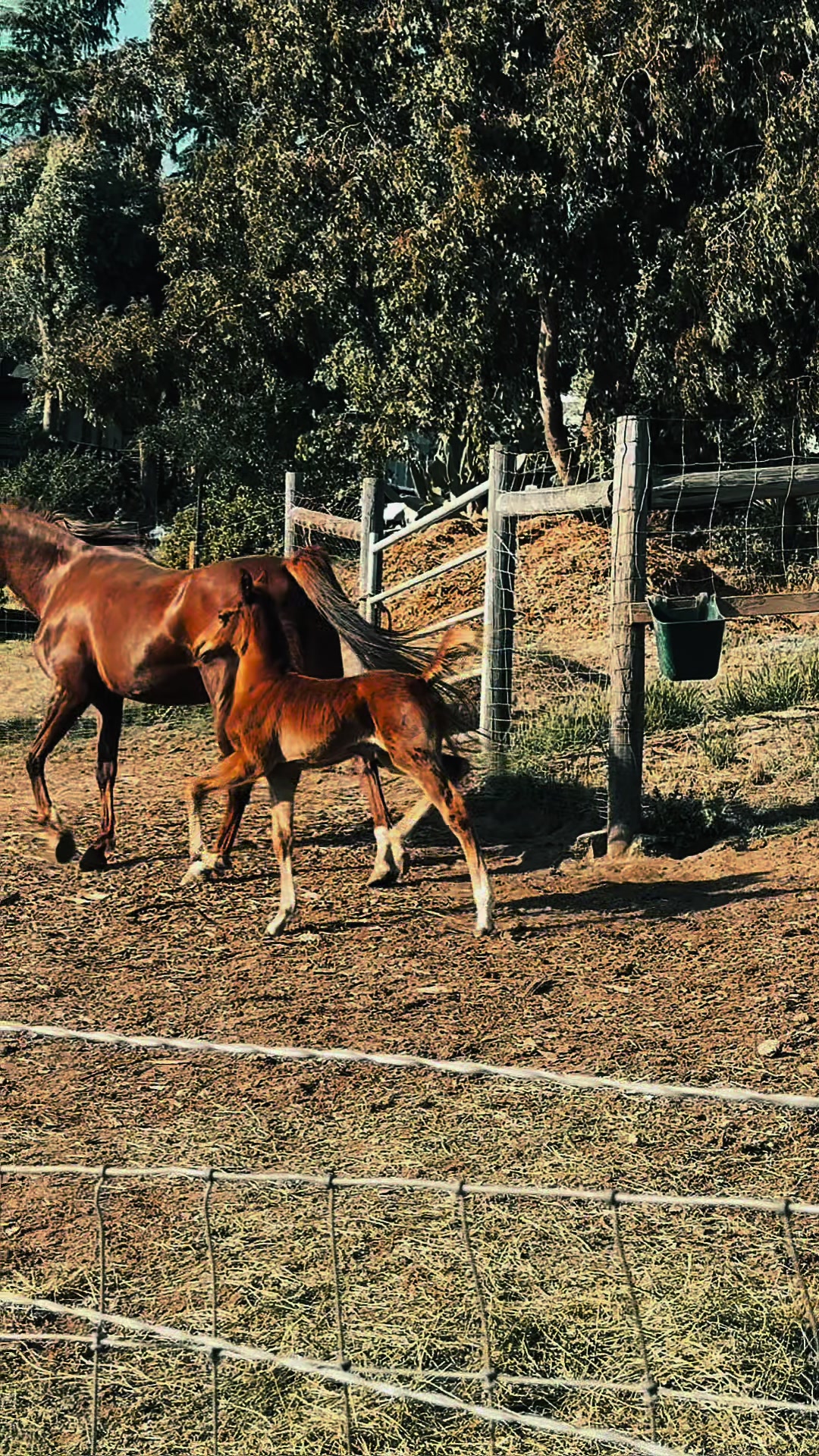 @BoeRanch14