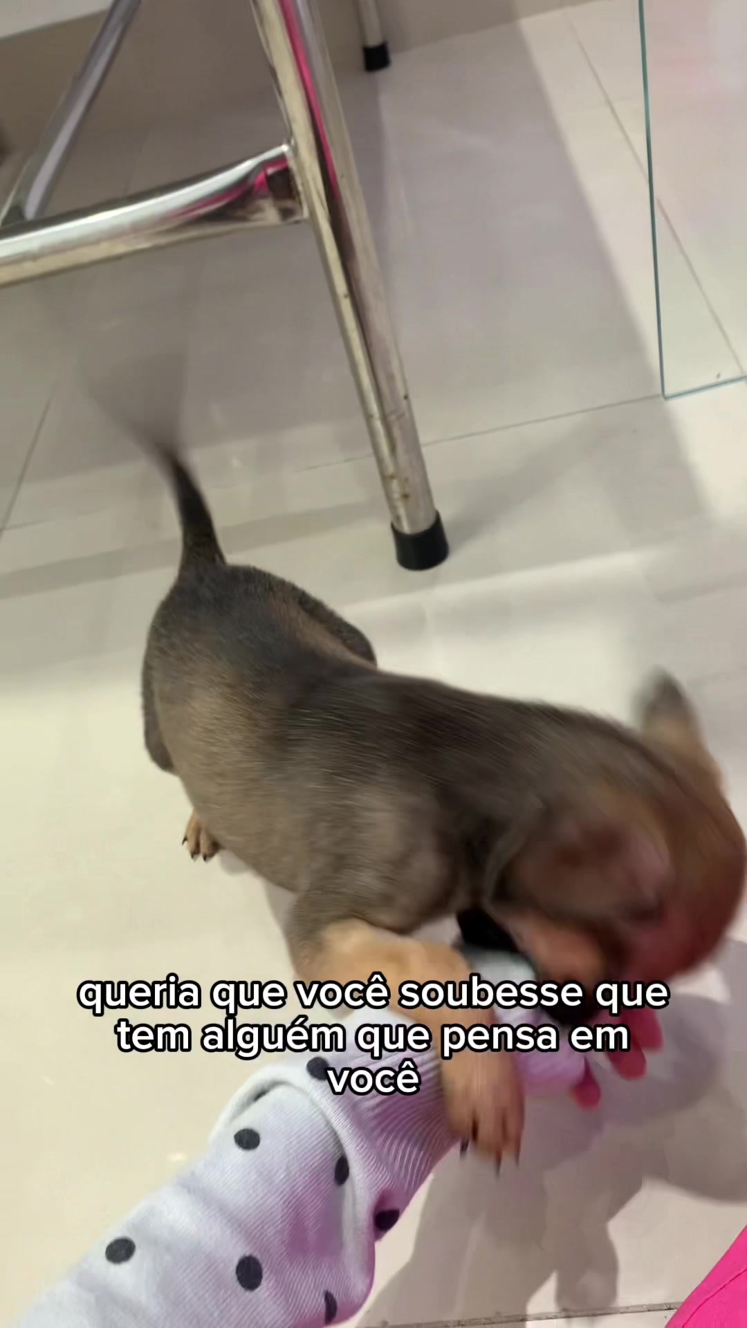 @Justin Beibel