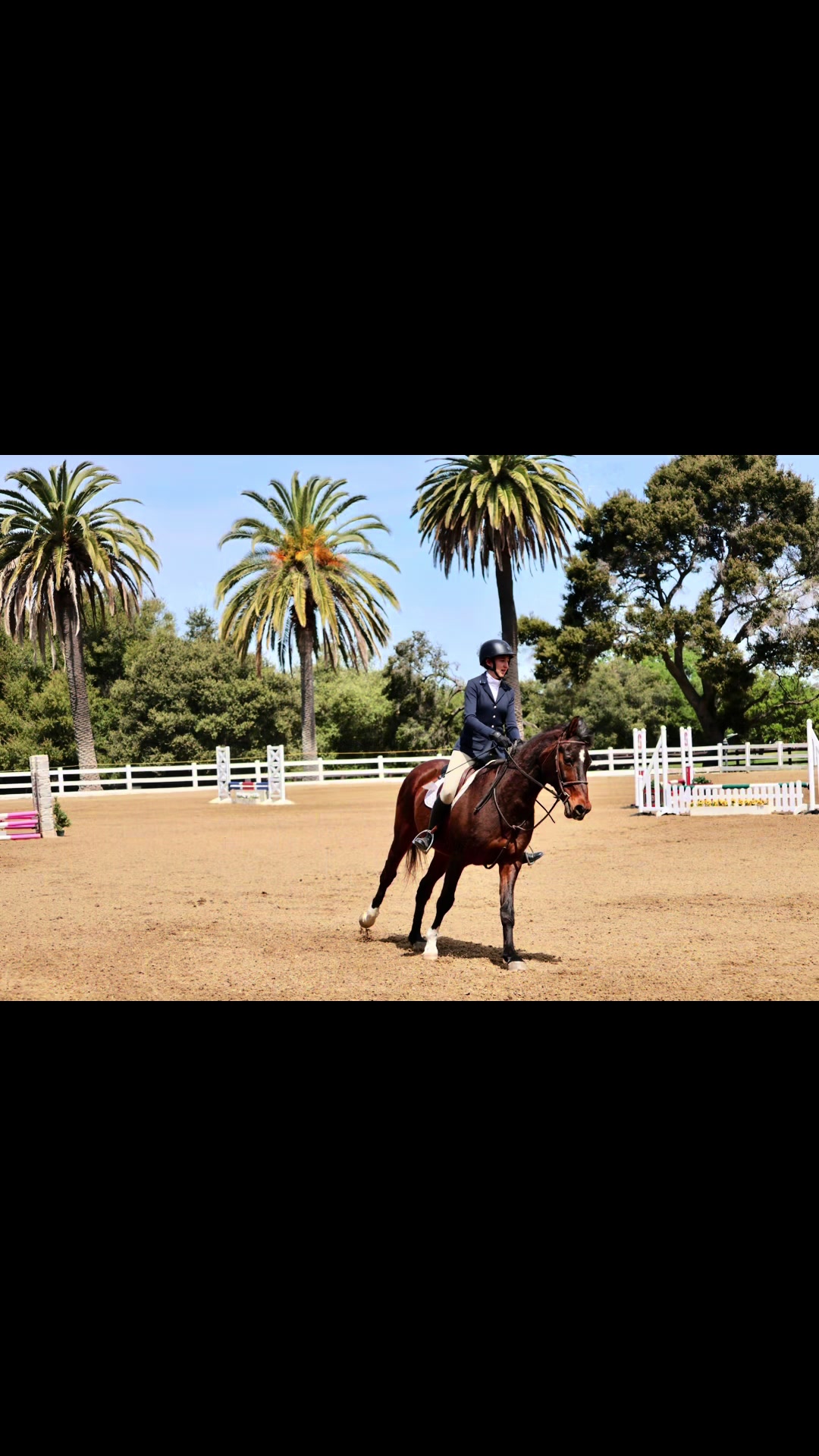 @UBC Equestrian Team