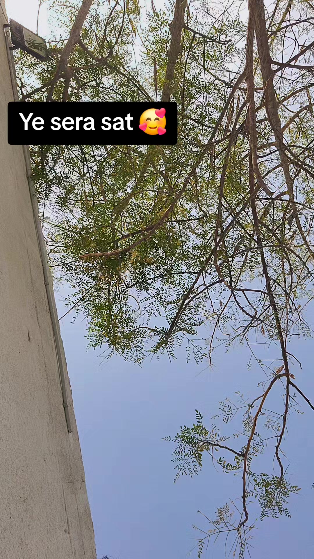 @Sulxi🥷