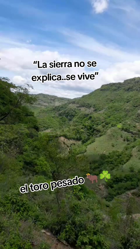 @el toro pesado 🐂☘️