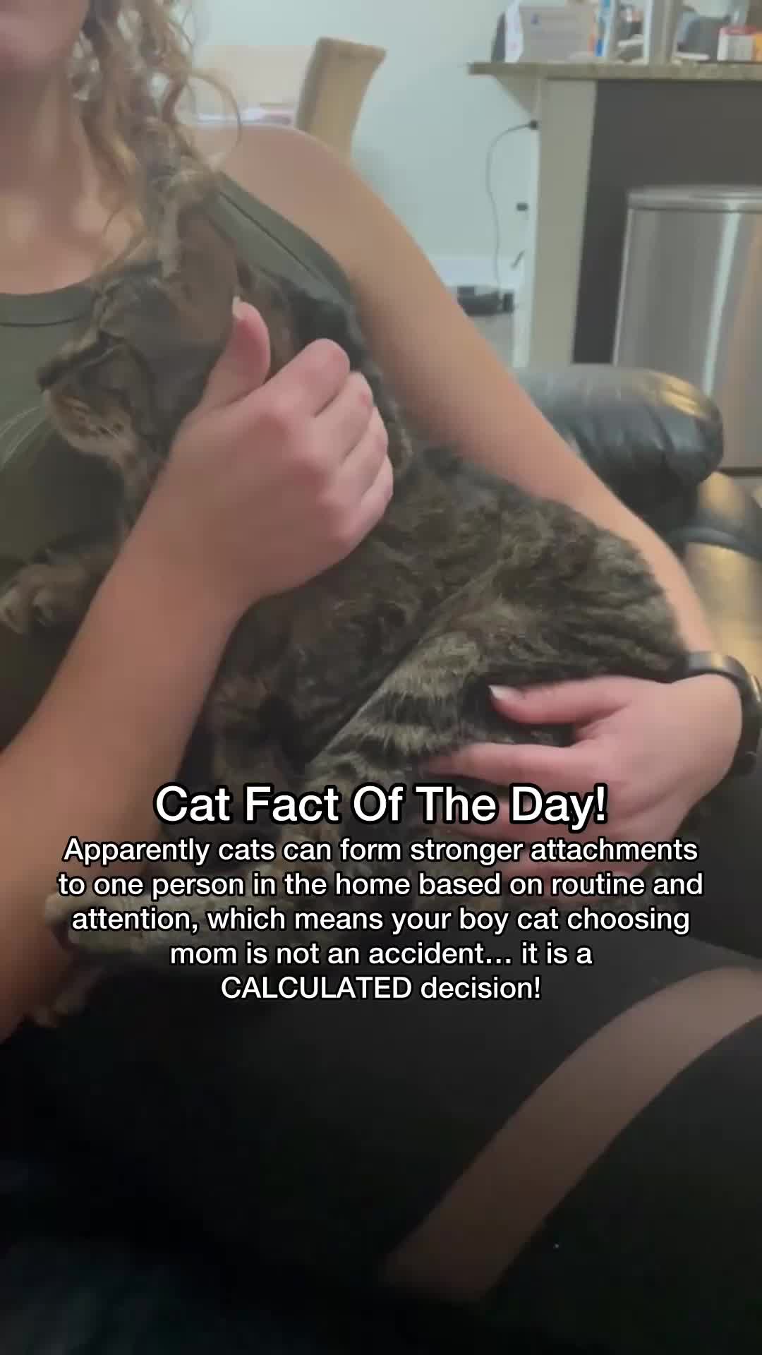@Chip The Manx