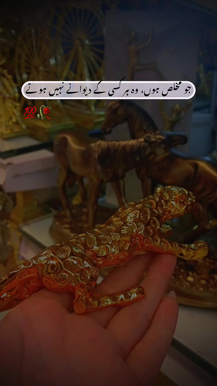 @Saliha Shykh