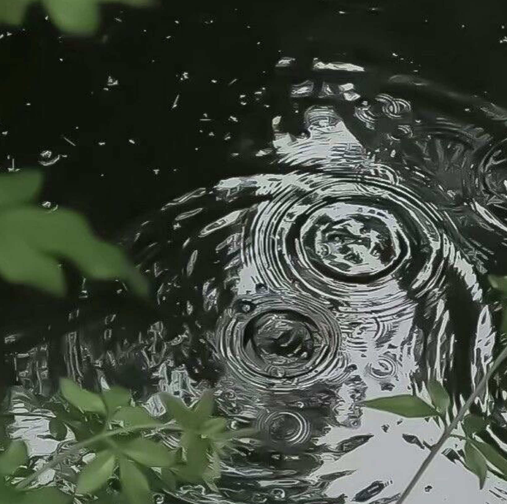 @۶ৎ 🦢🤍 𝐁𝐞𝐨𝐦𝐬𝐞𝐨𝐤 🩶🦢
