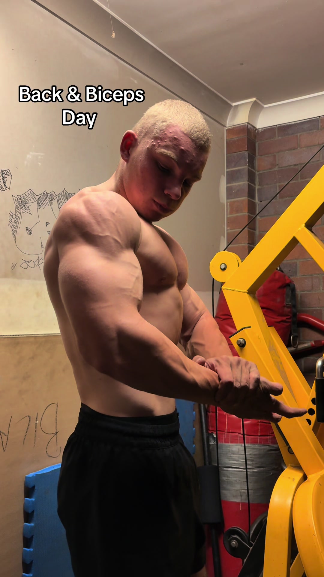 @joshbarrish