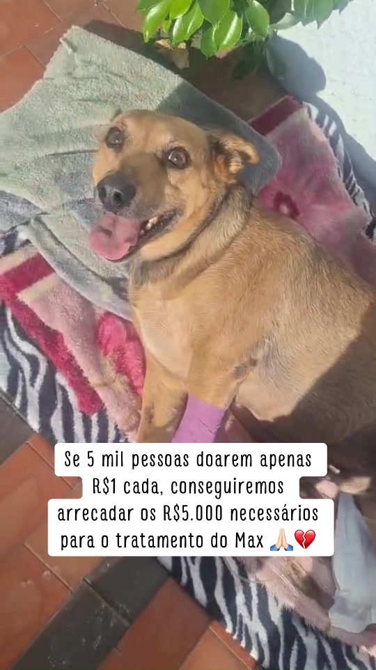 @Ajude o Max! 💙🐾