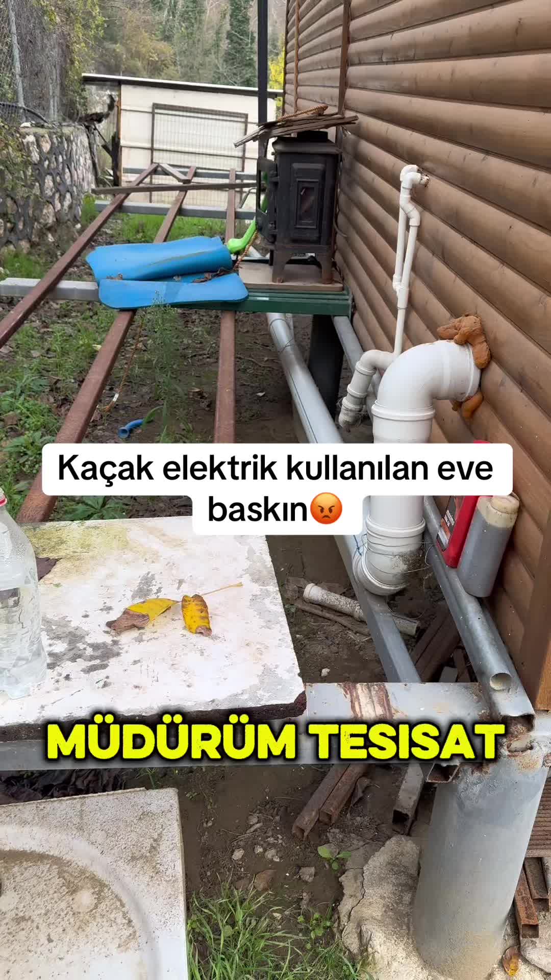 @çaylak