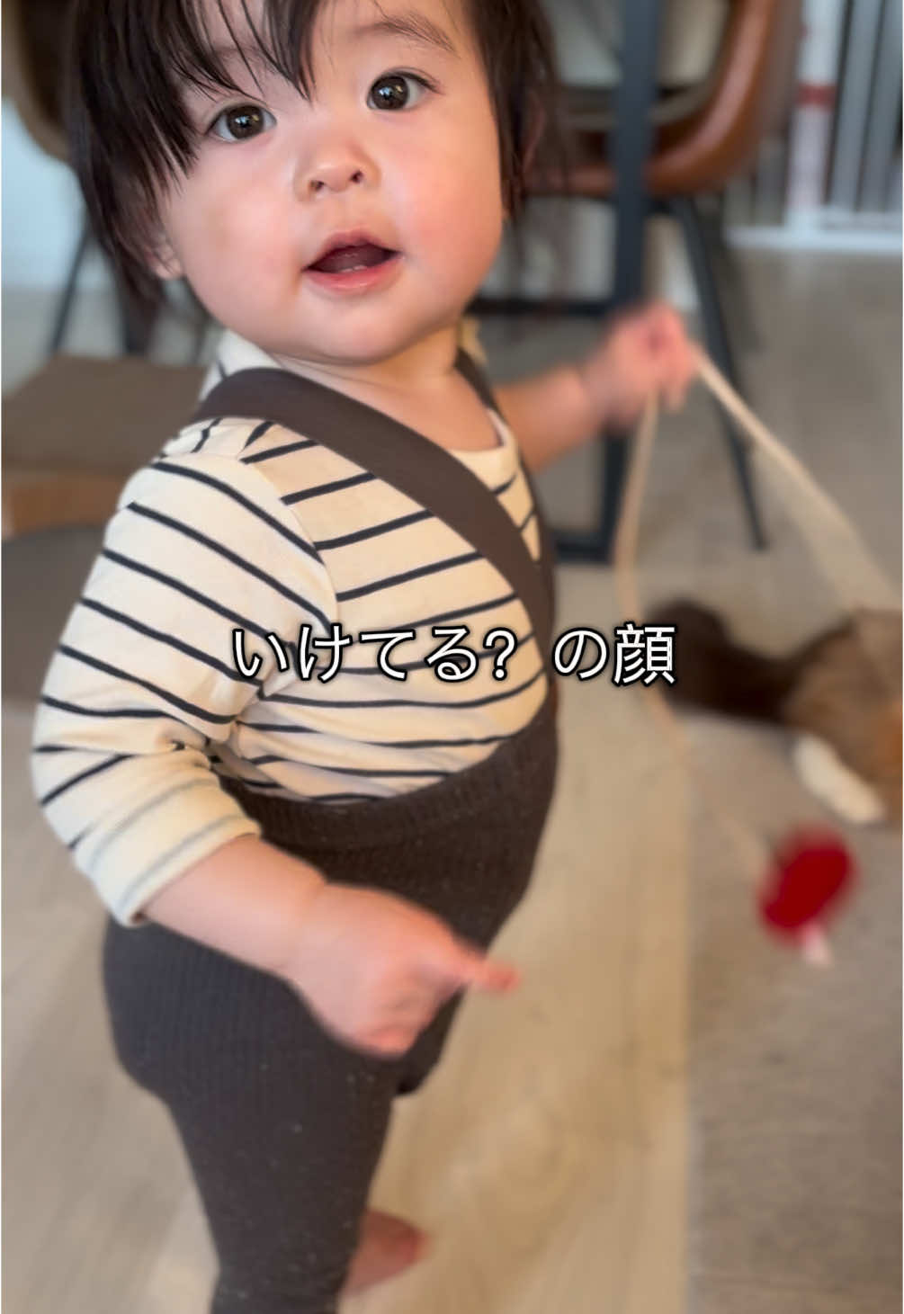 @kuramomo