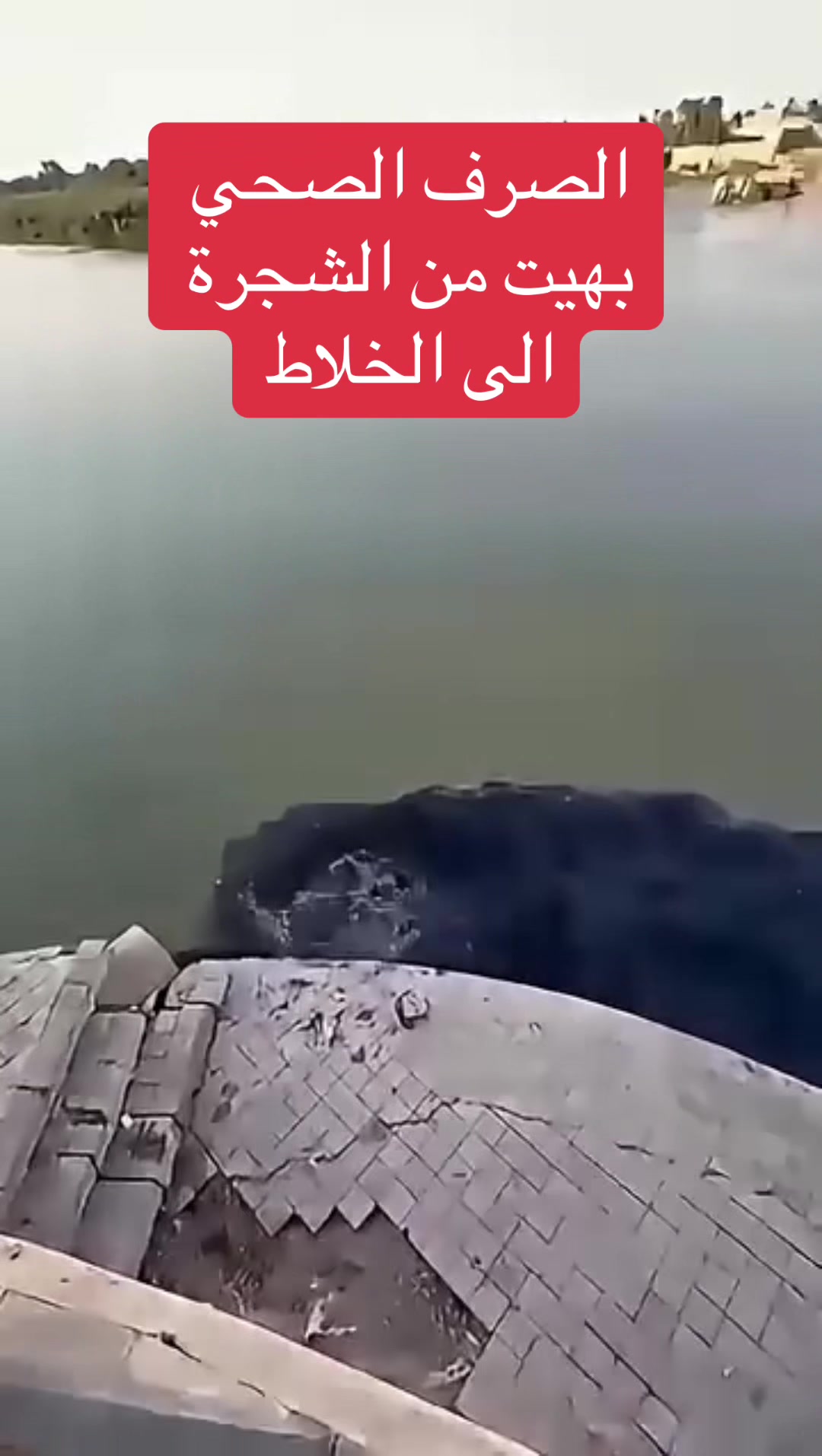 @عاجل وبس