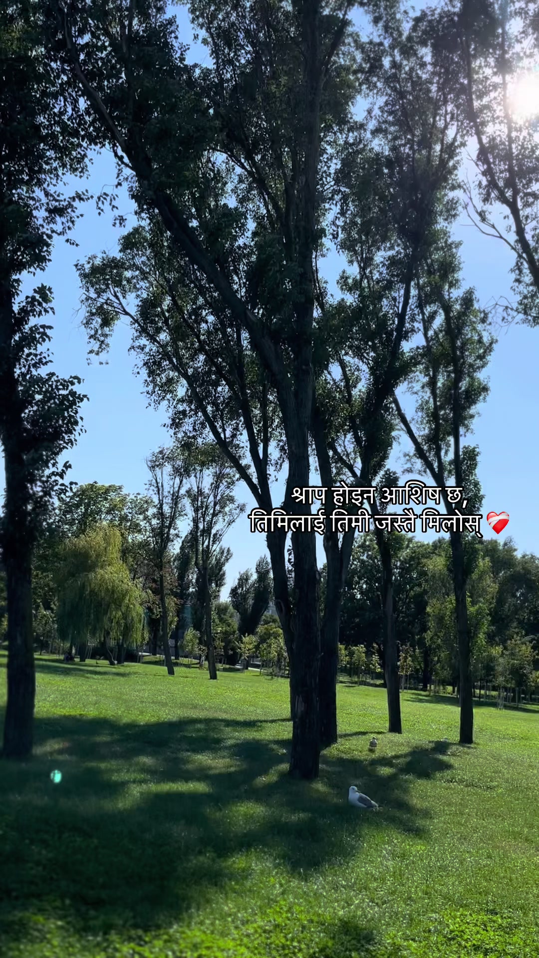 @Prǎ~bãł🤟🫥
