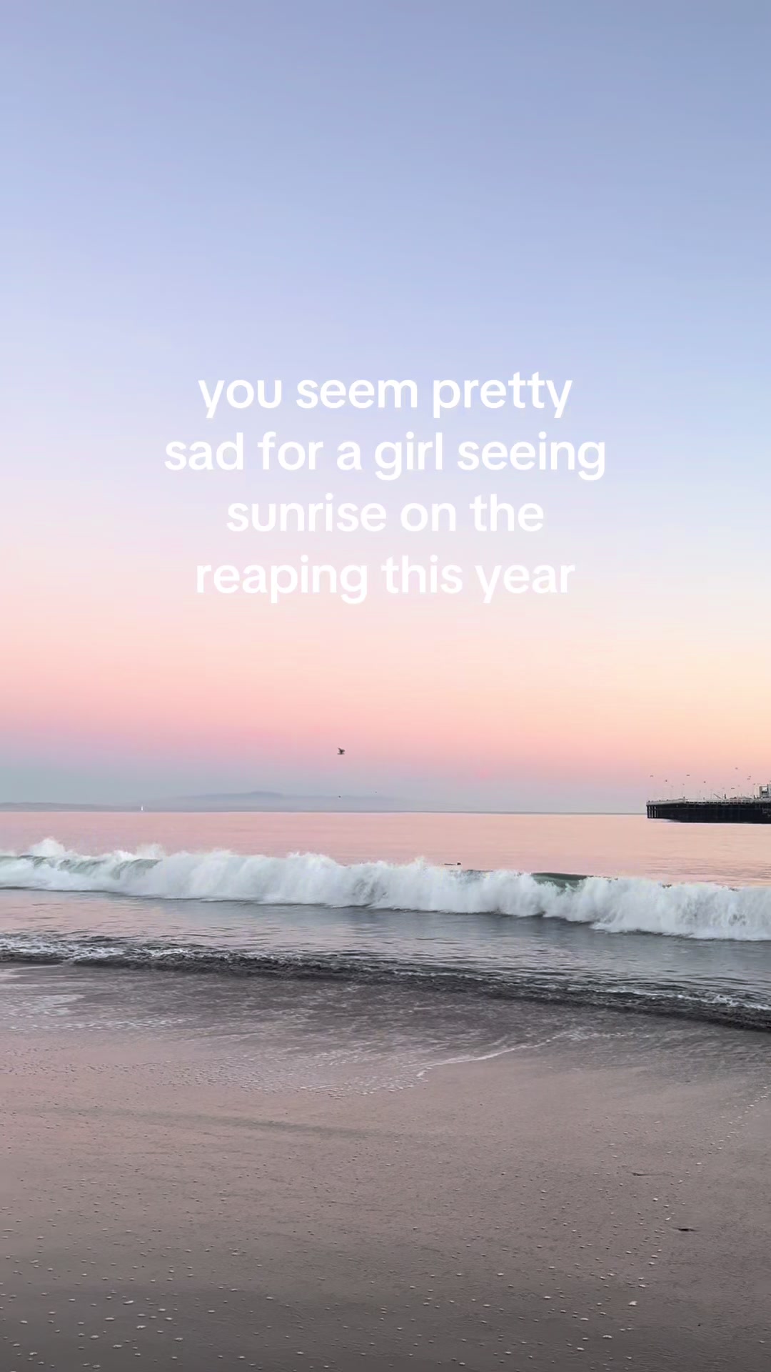 @sandra 🤍