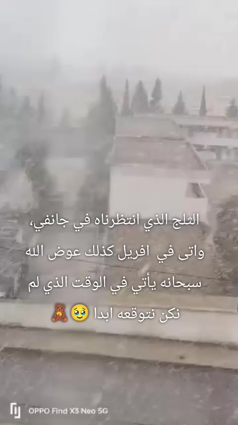 @Abeer 💙