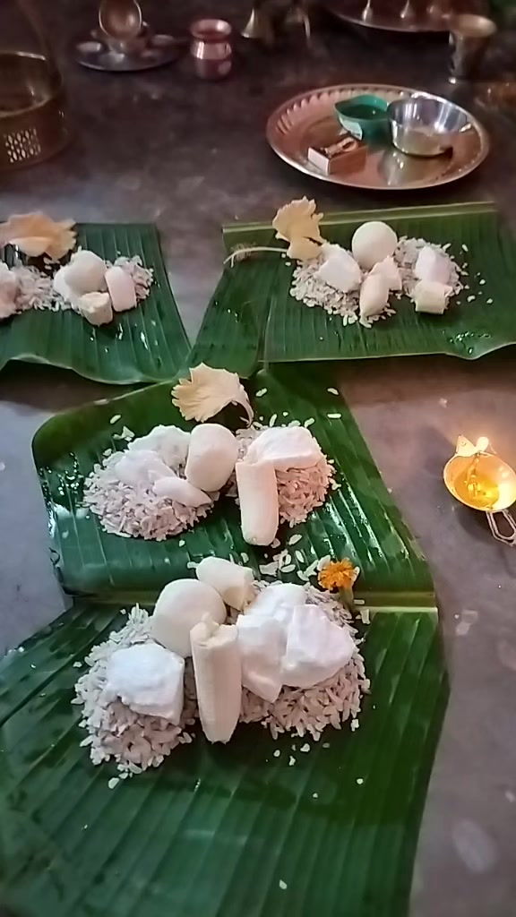 @Anjani Thakur🌻🌻