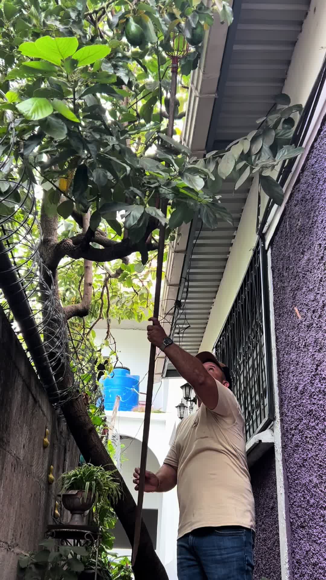 @chef de la remodelacion