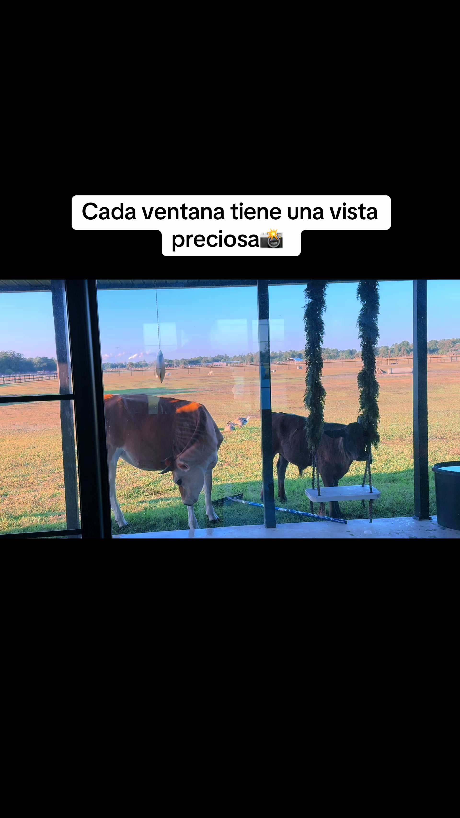 @blueagaveranch