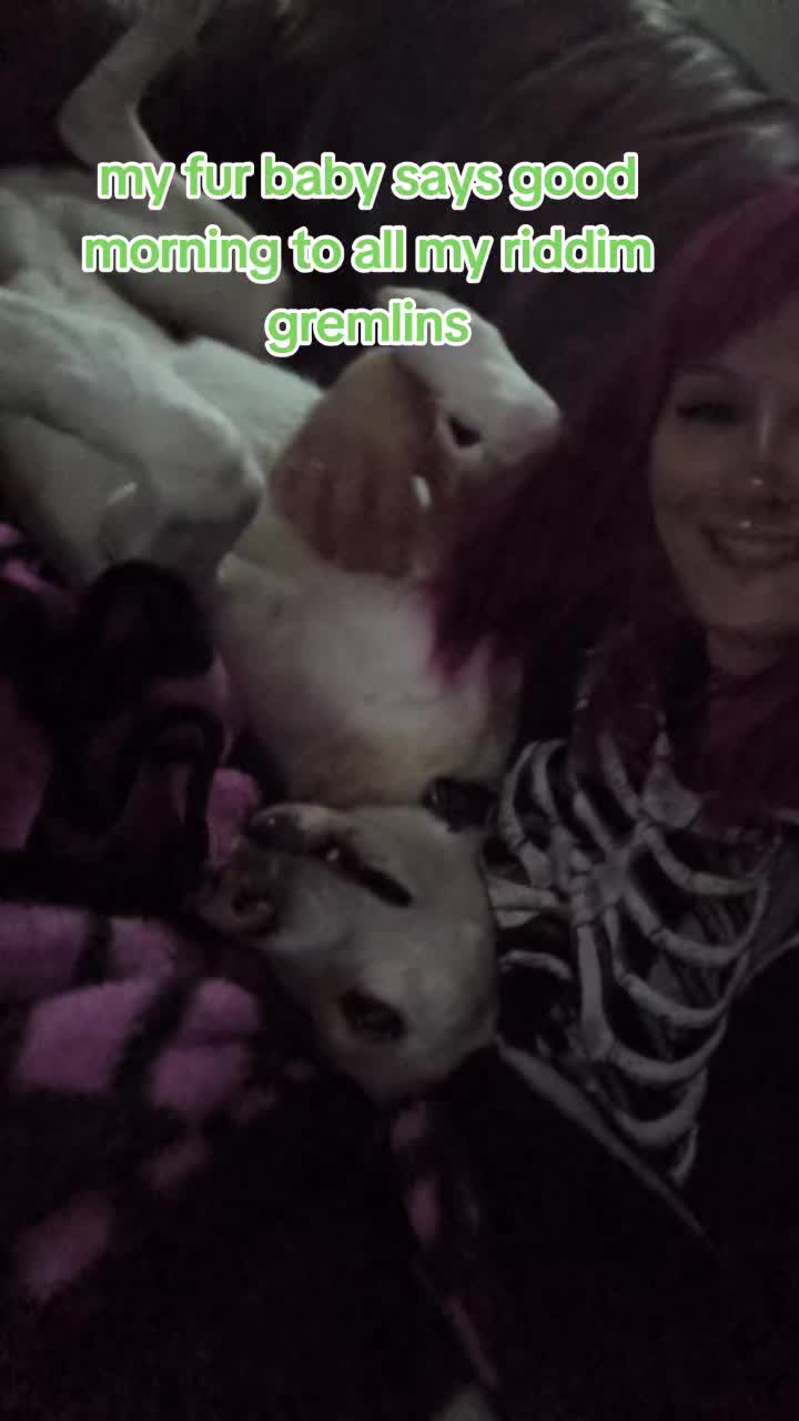 @Jackattack🖤💚