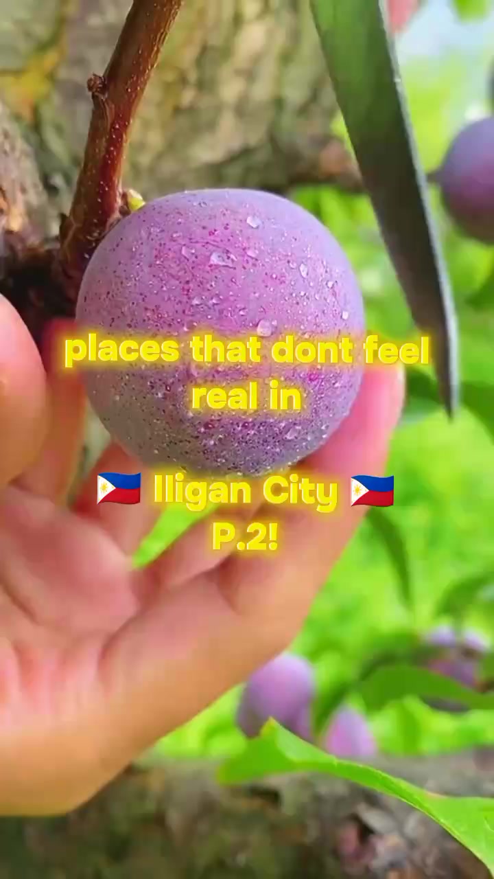 @ao