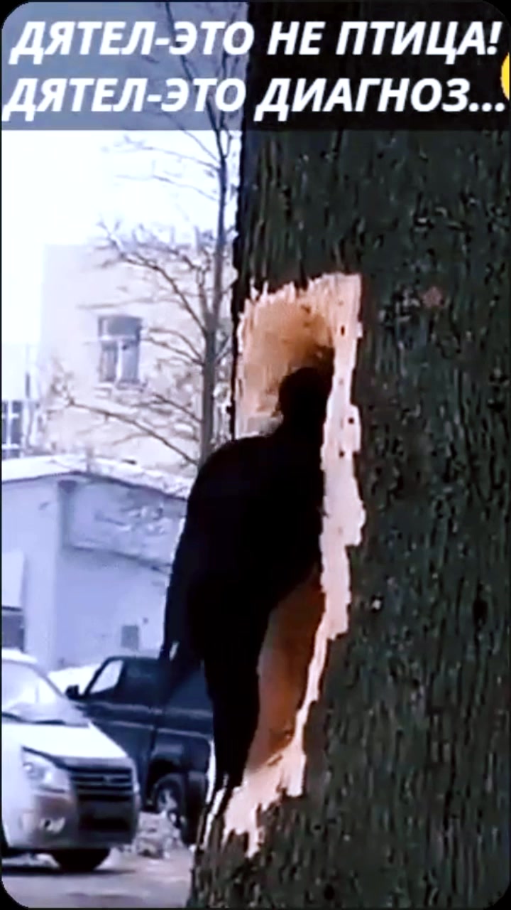 @Елена