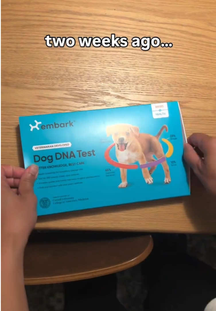 @Embark Vet