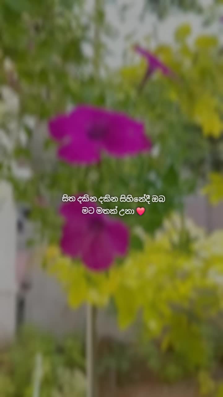@Nandika Dananjaya